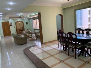 Lovely 2 bedroom holiday apartment with Nile view